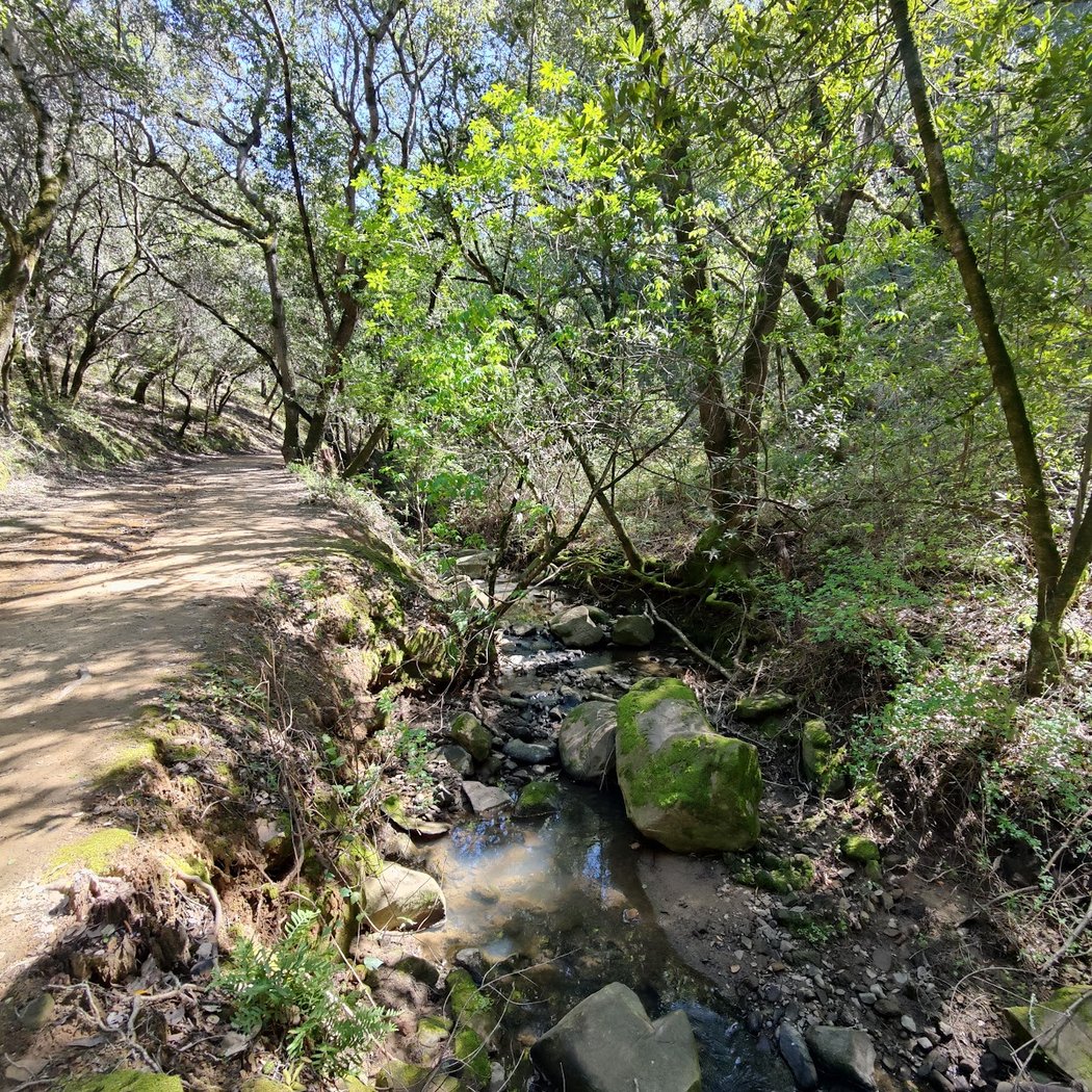 Chabot Park 3