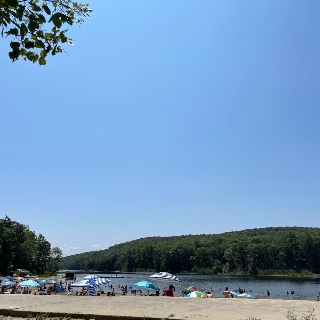 Canopus Lake 2