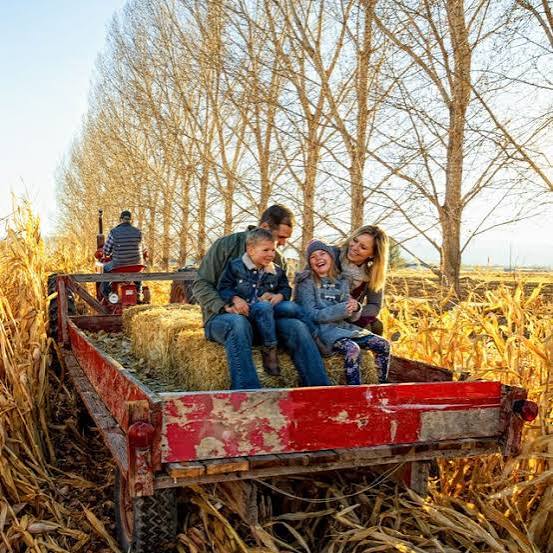 Corn Maze & Apple Harvest Festival 2