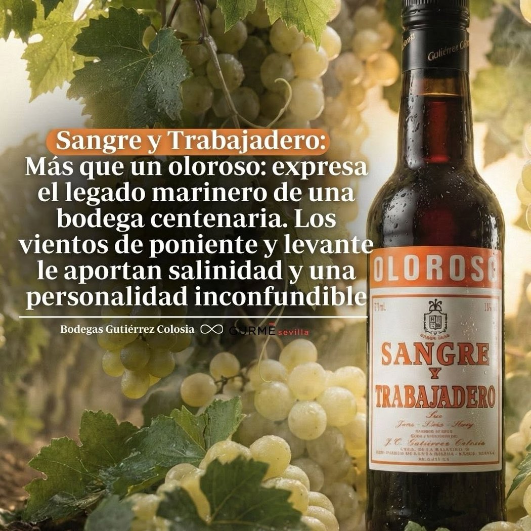 Bodegas Gutiérrez Colosía 1