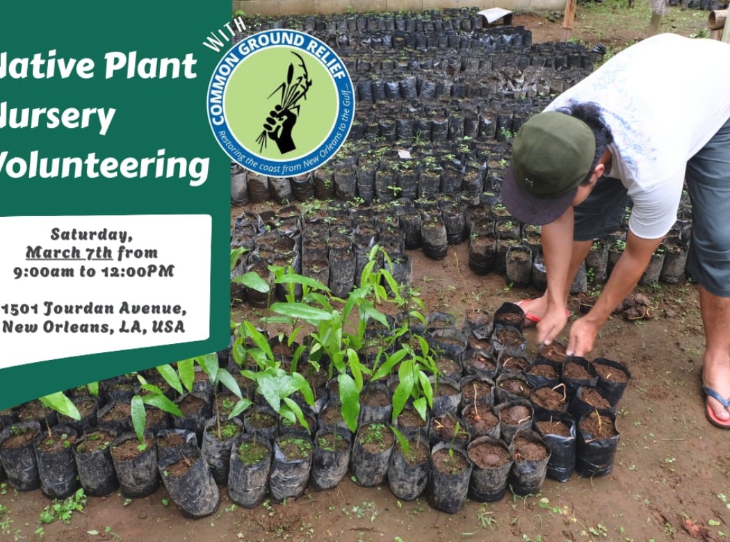 Native Plant Nursery Day 1