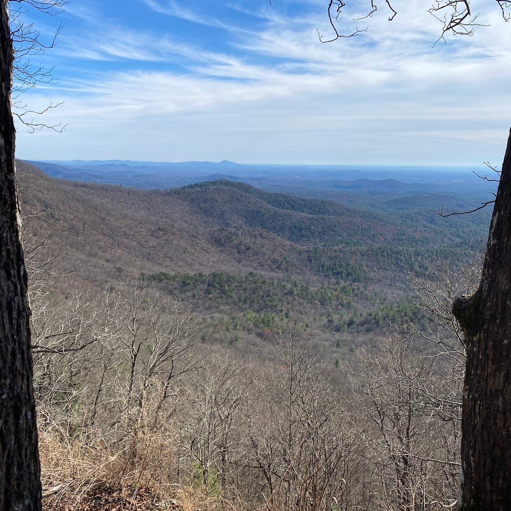 Springer Mountain 4