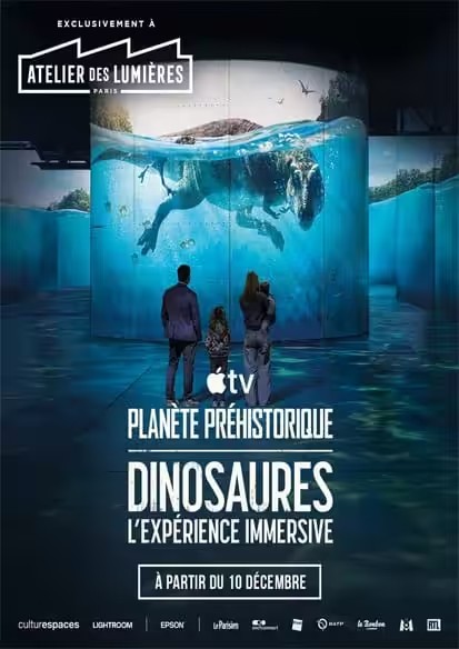 Immersive Experience 3