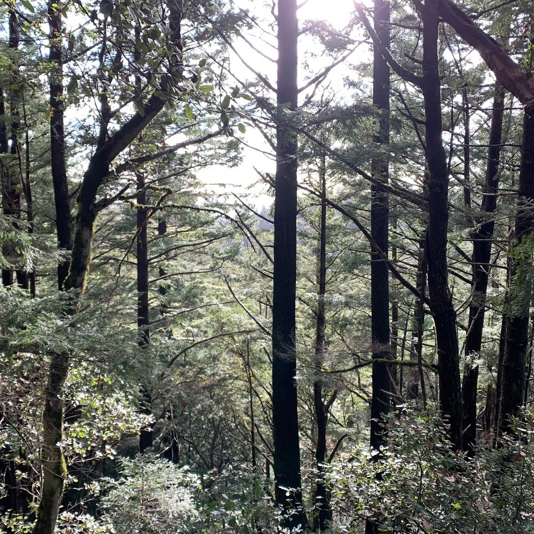 Sierra Morena Trail Access point 3