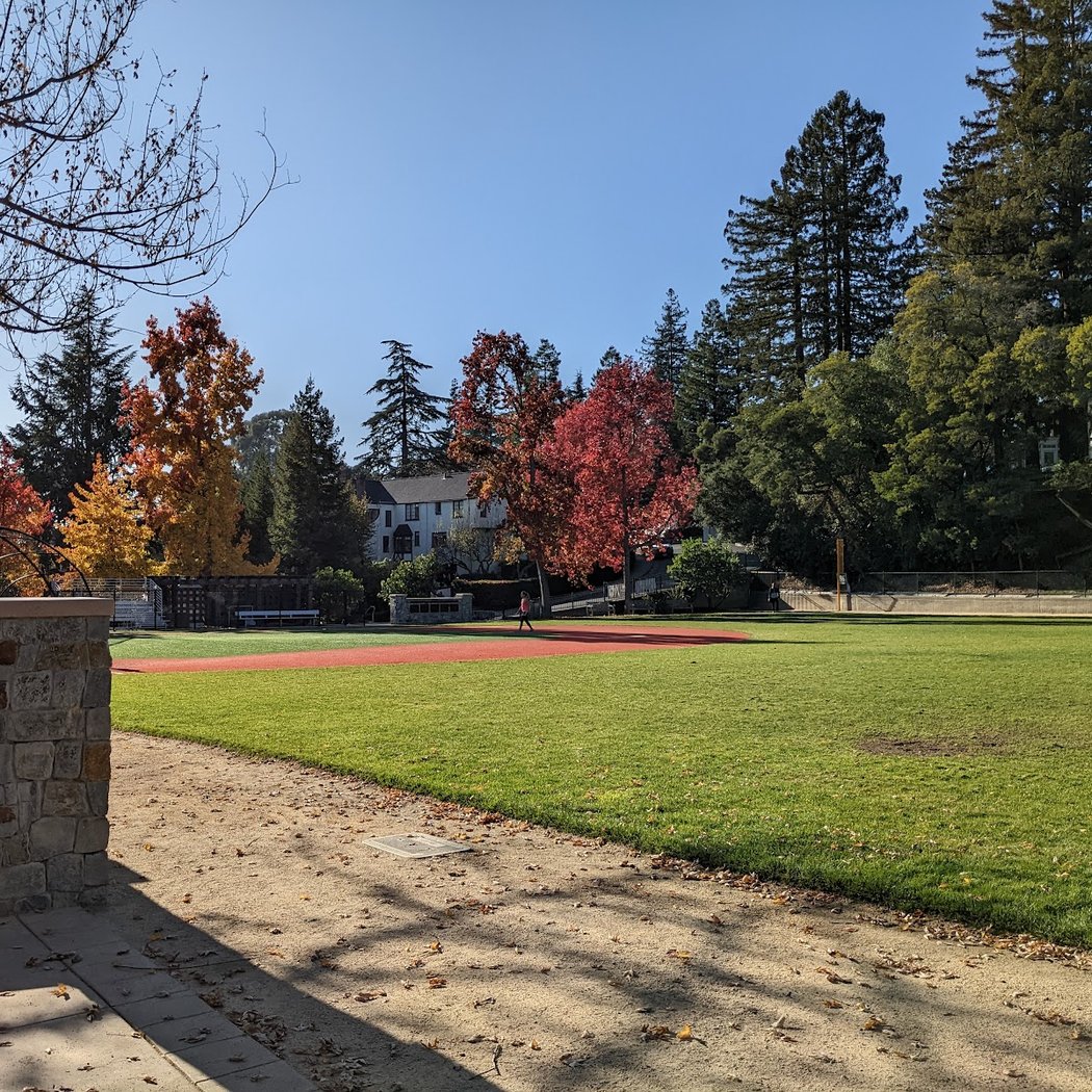 Piedmont Sports Field (Hampton Field) 3