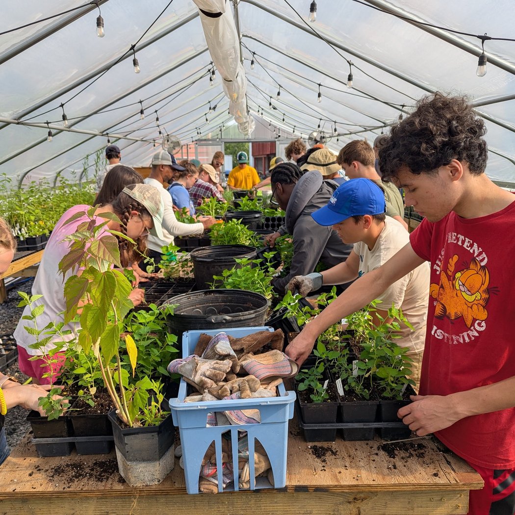 Native Plant Work Days 1