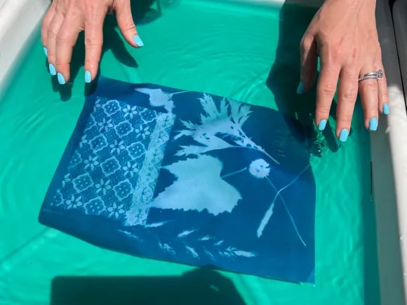 Cyanotype Workshop & Gardens Tour