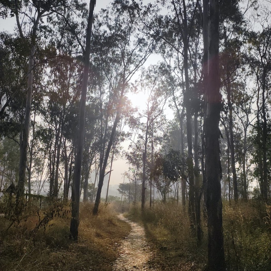 Turahalli Tree Park 1