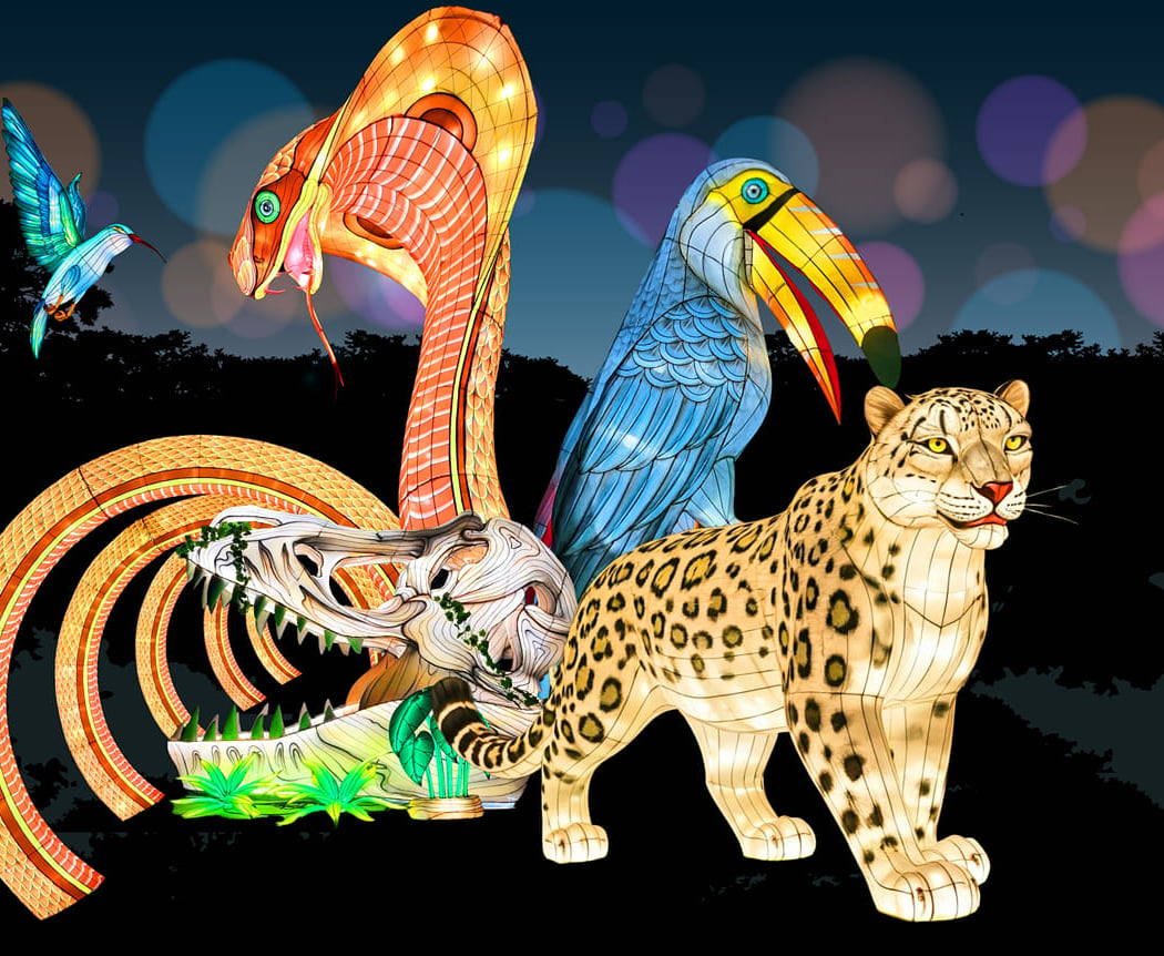Glowfari Lights 3