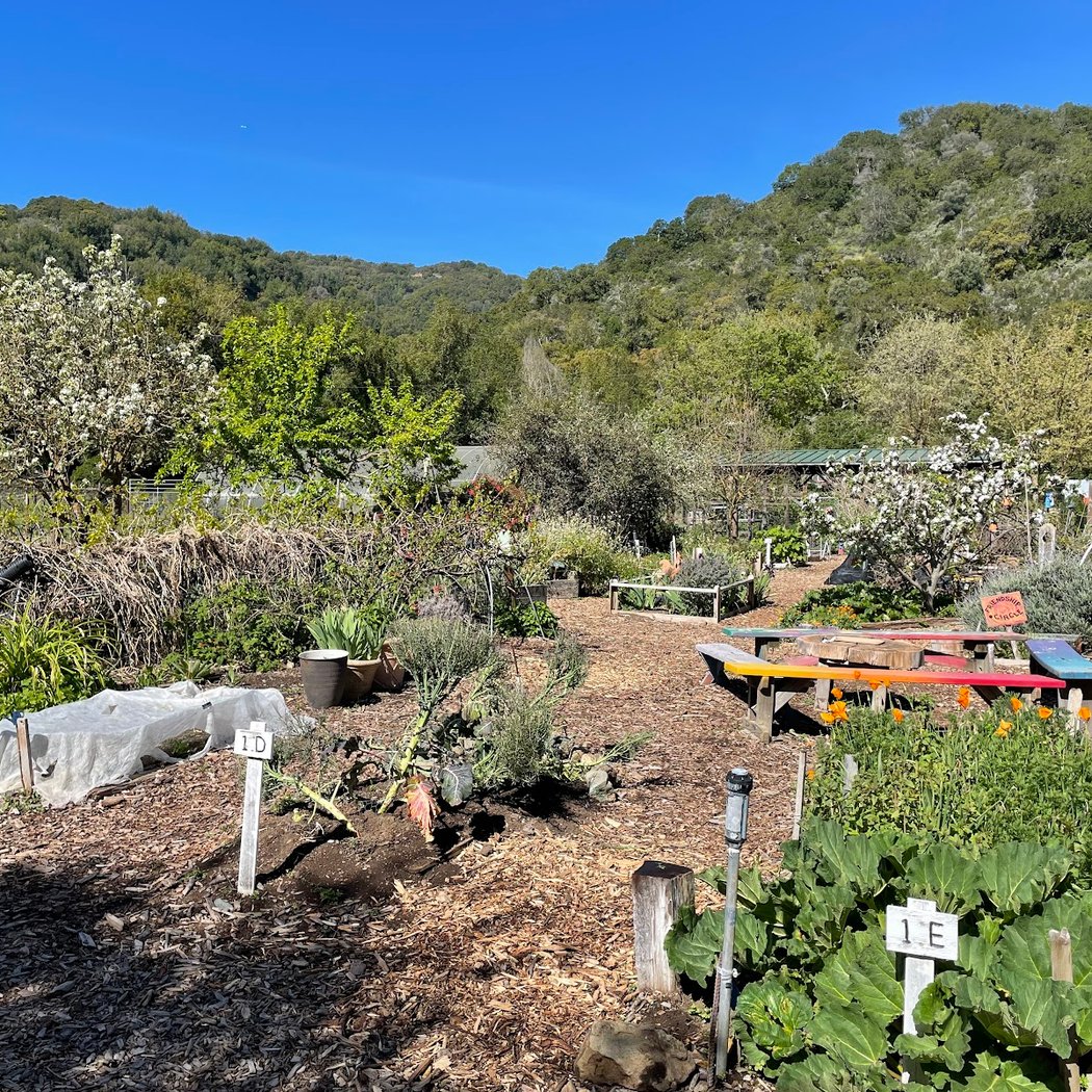 Farm Volunteer Day 1