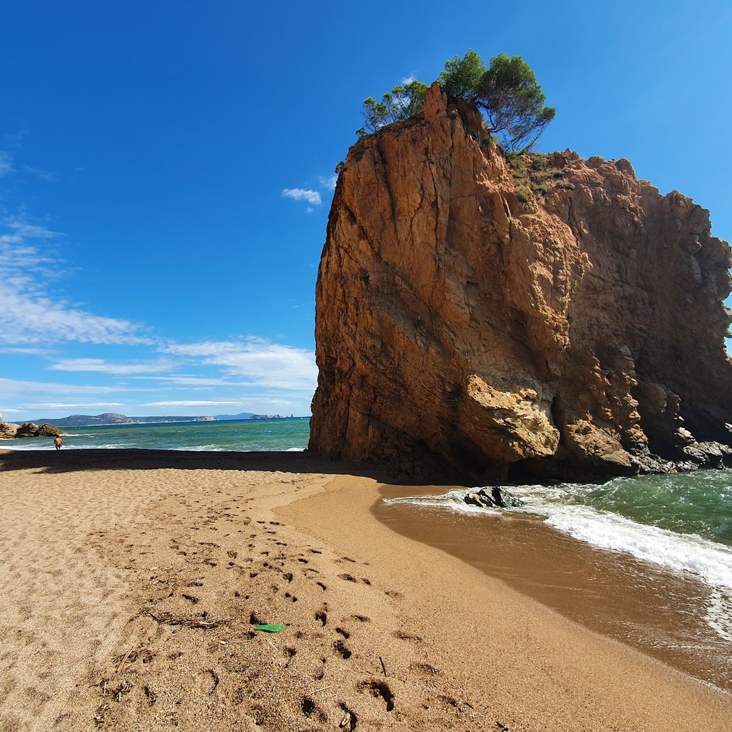 Platja de l'Illa Roja 3