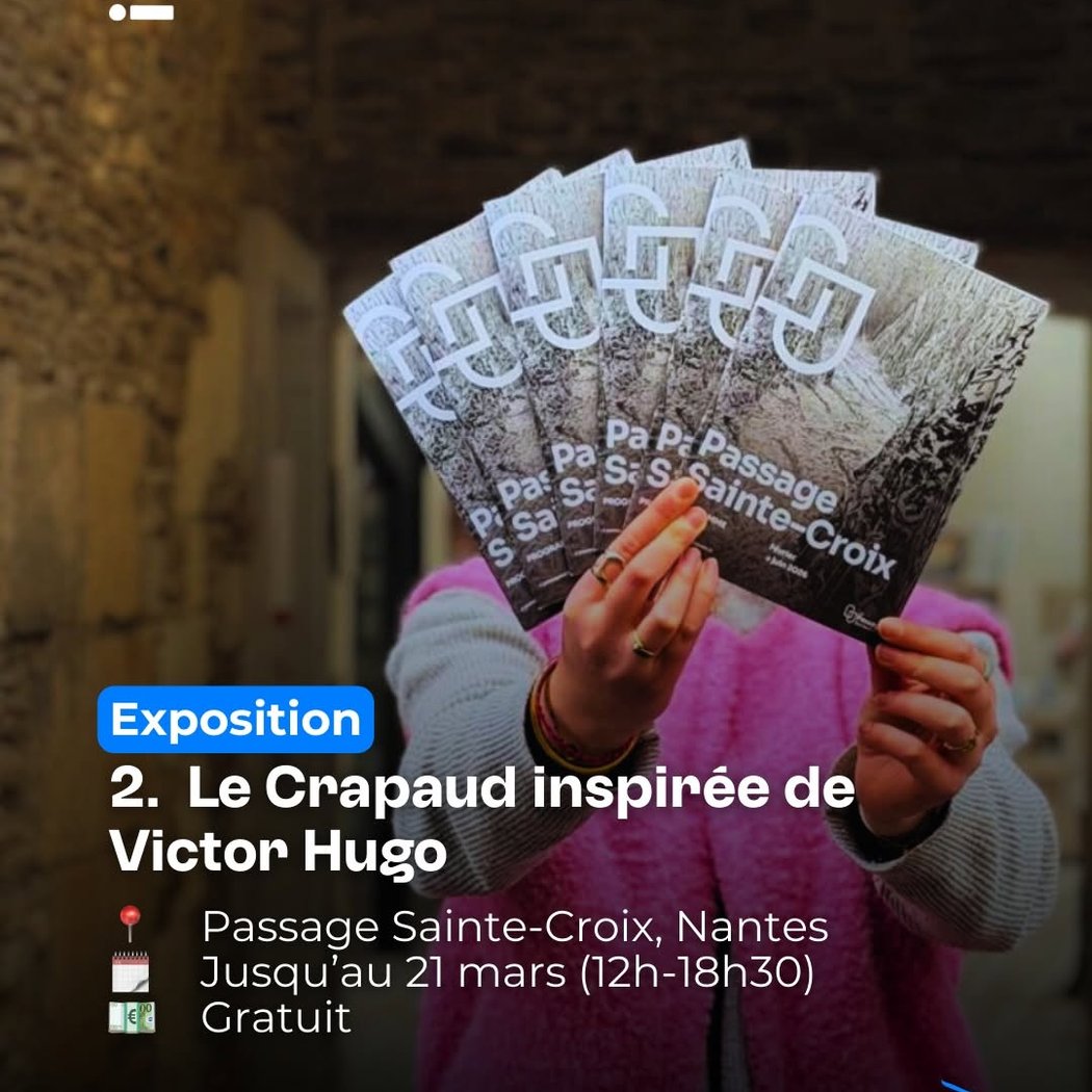 Le Crapaud inspirée de Victor Hugo 1