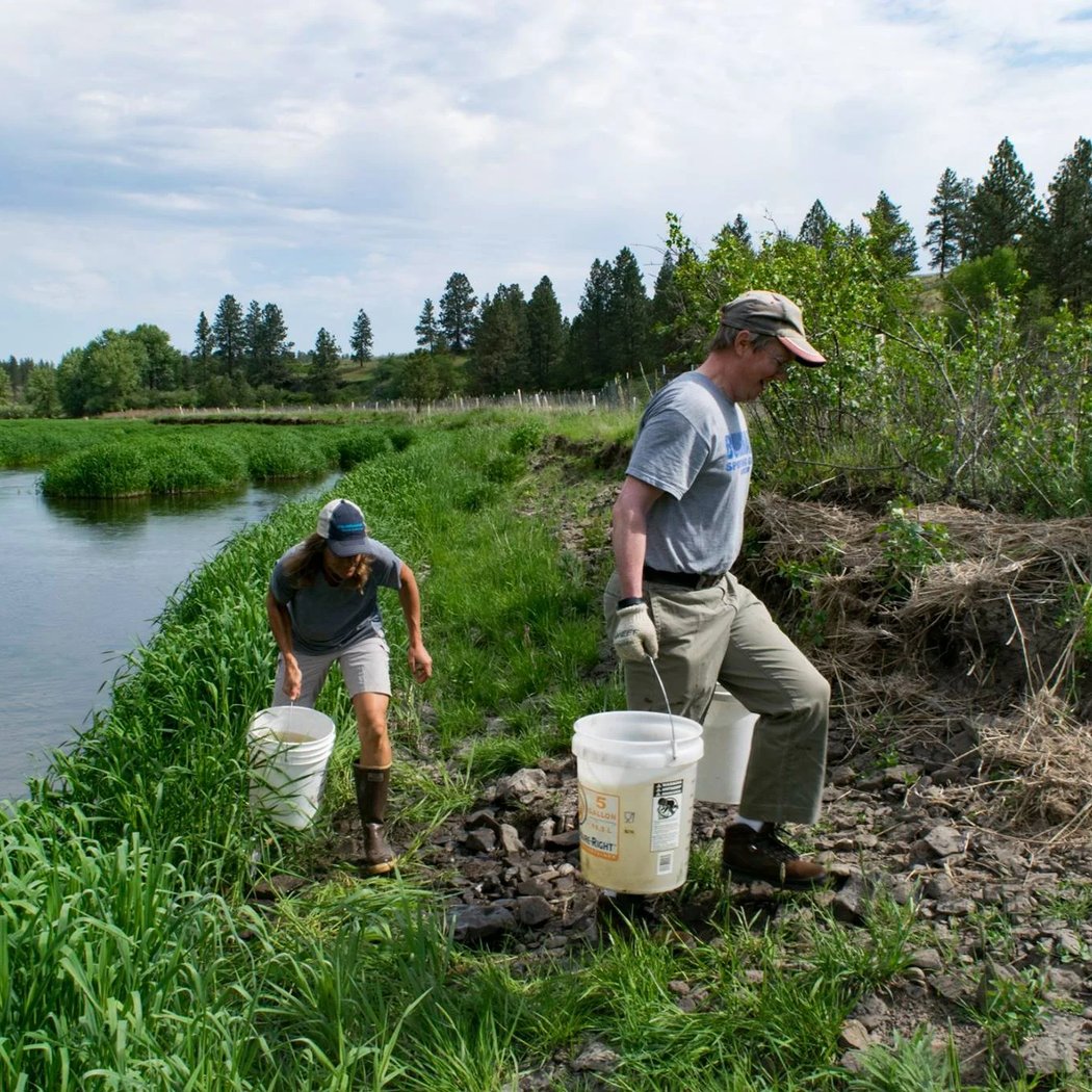 Wildlands Conservancy Stream Team Volunteer at Saucon Park 3