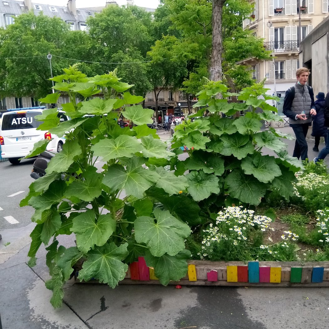 Le square Julia Bartet et son aire de jeux pour les enfants 3