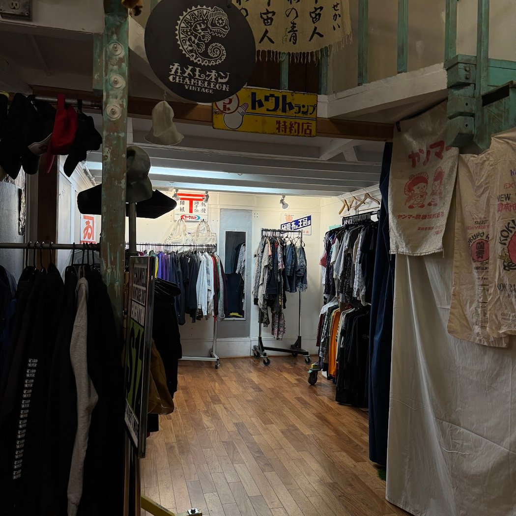 Chameleon Vintage Outlet 1