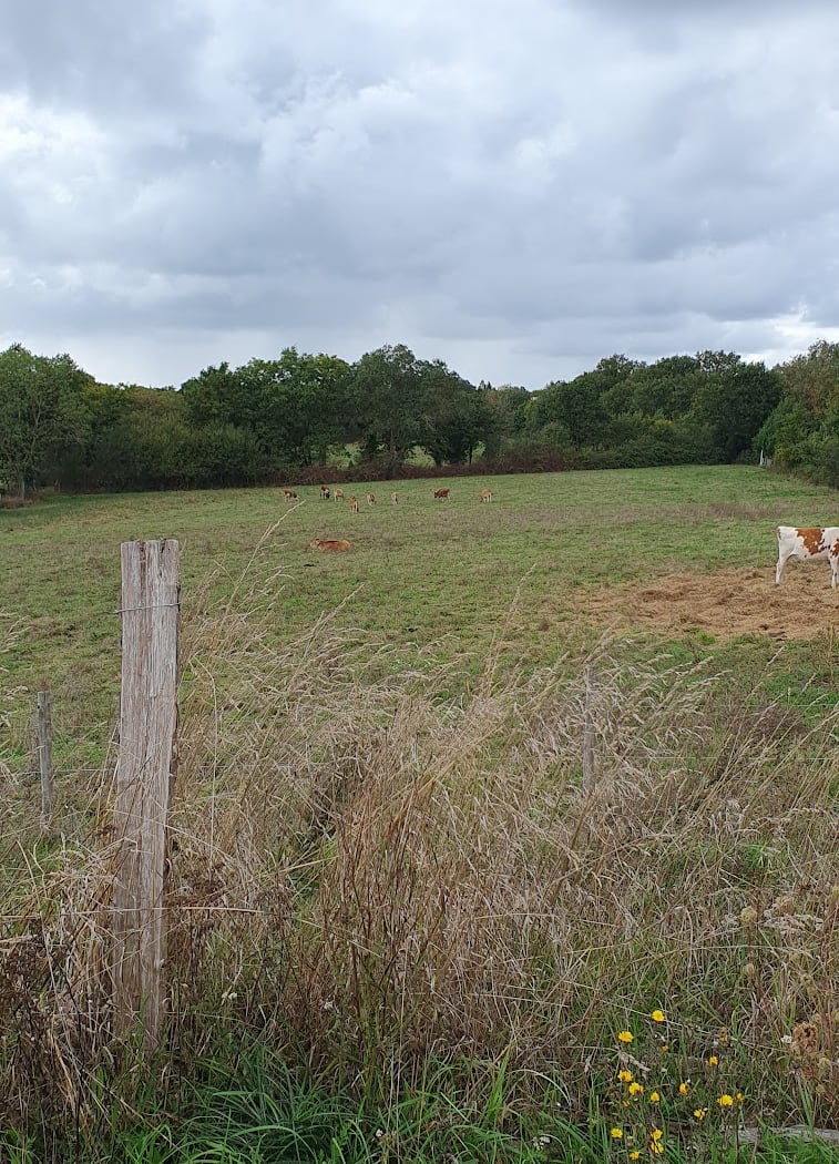 Ferme des roches 2
