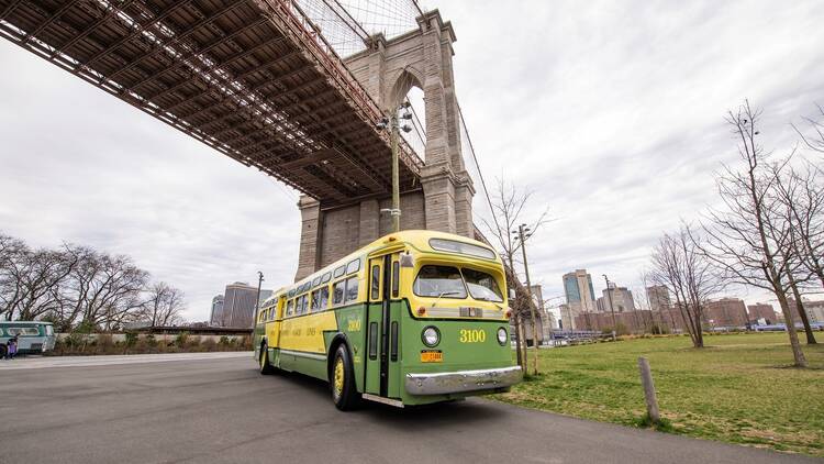 Bus Festival 1