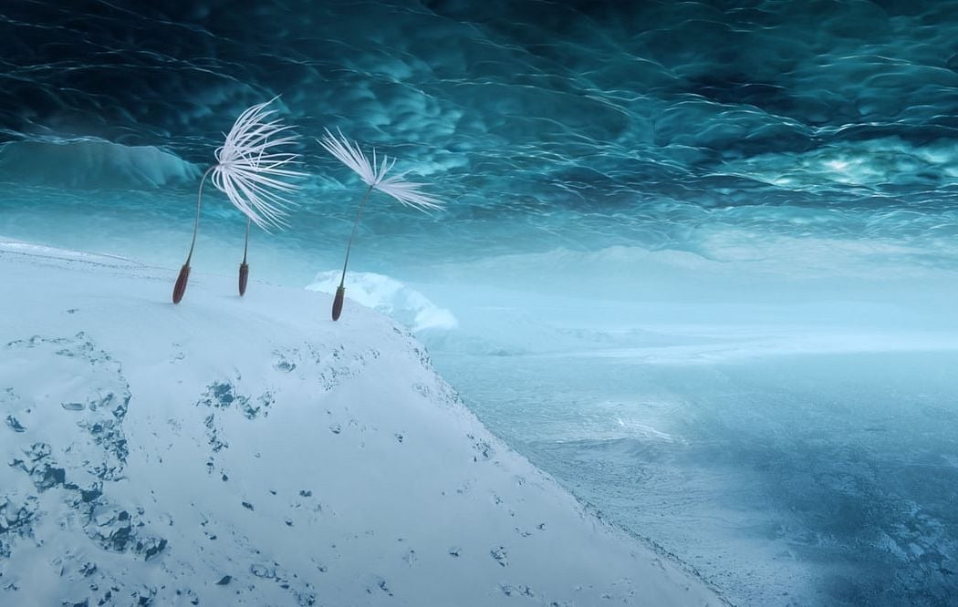 Planètes au Cinéma 1