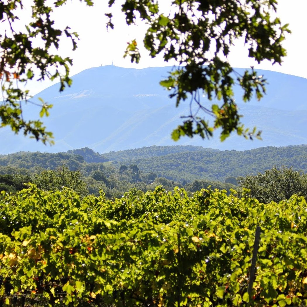 Domaine Le Puy du Maupas 2