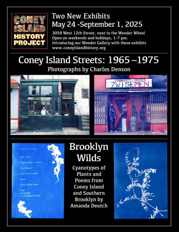 Coney Island History Project 2