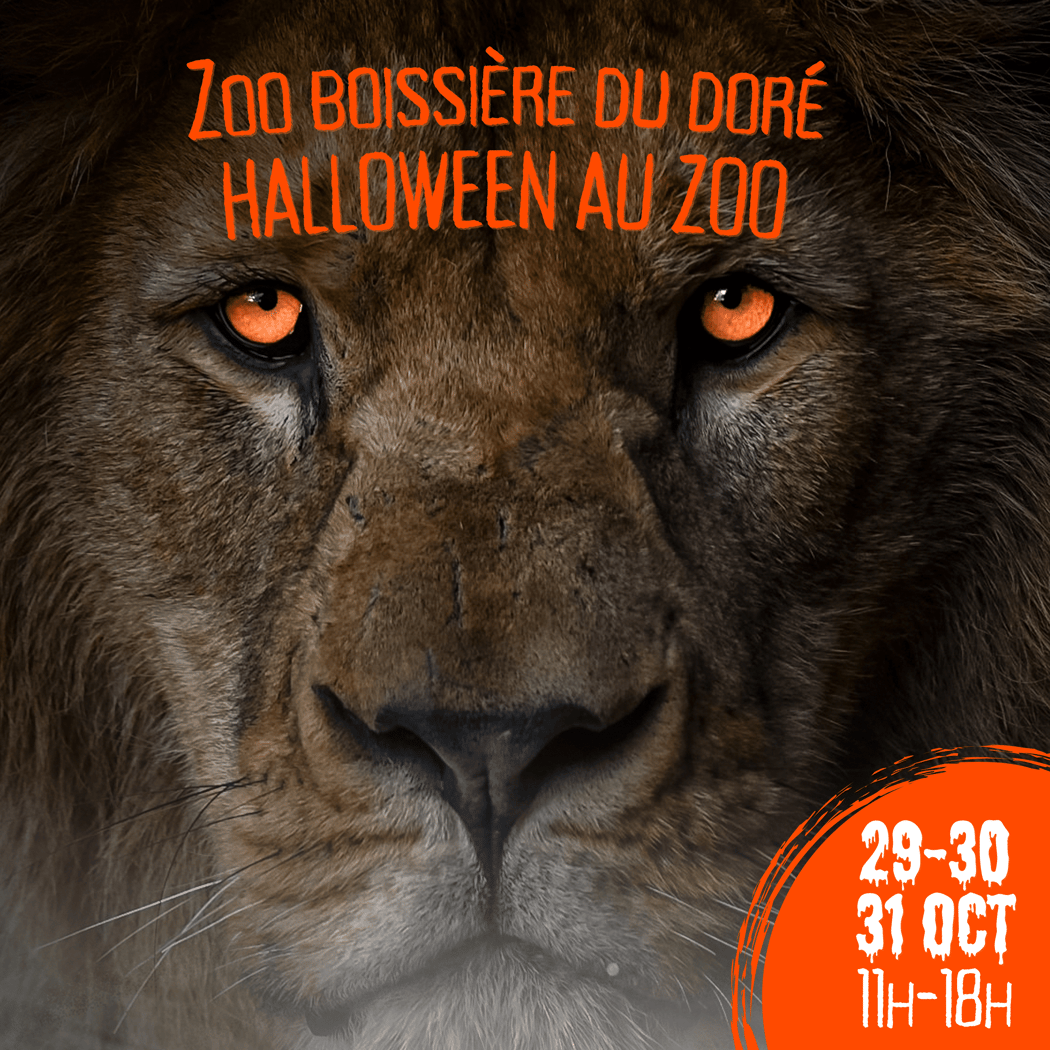 Tournée de Nourrissages Spéciale Halloween