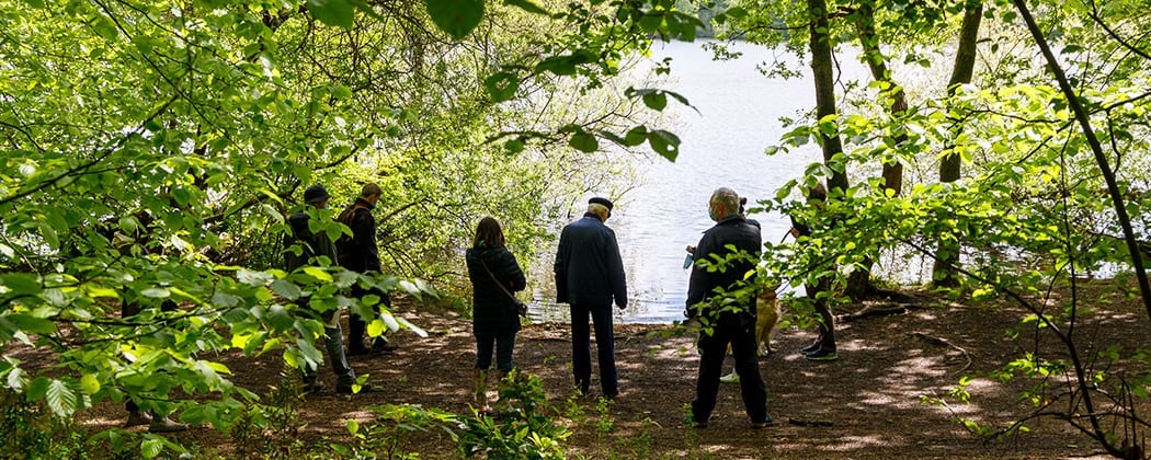 Bois de la Desnerie 2
