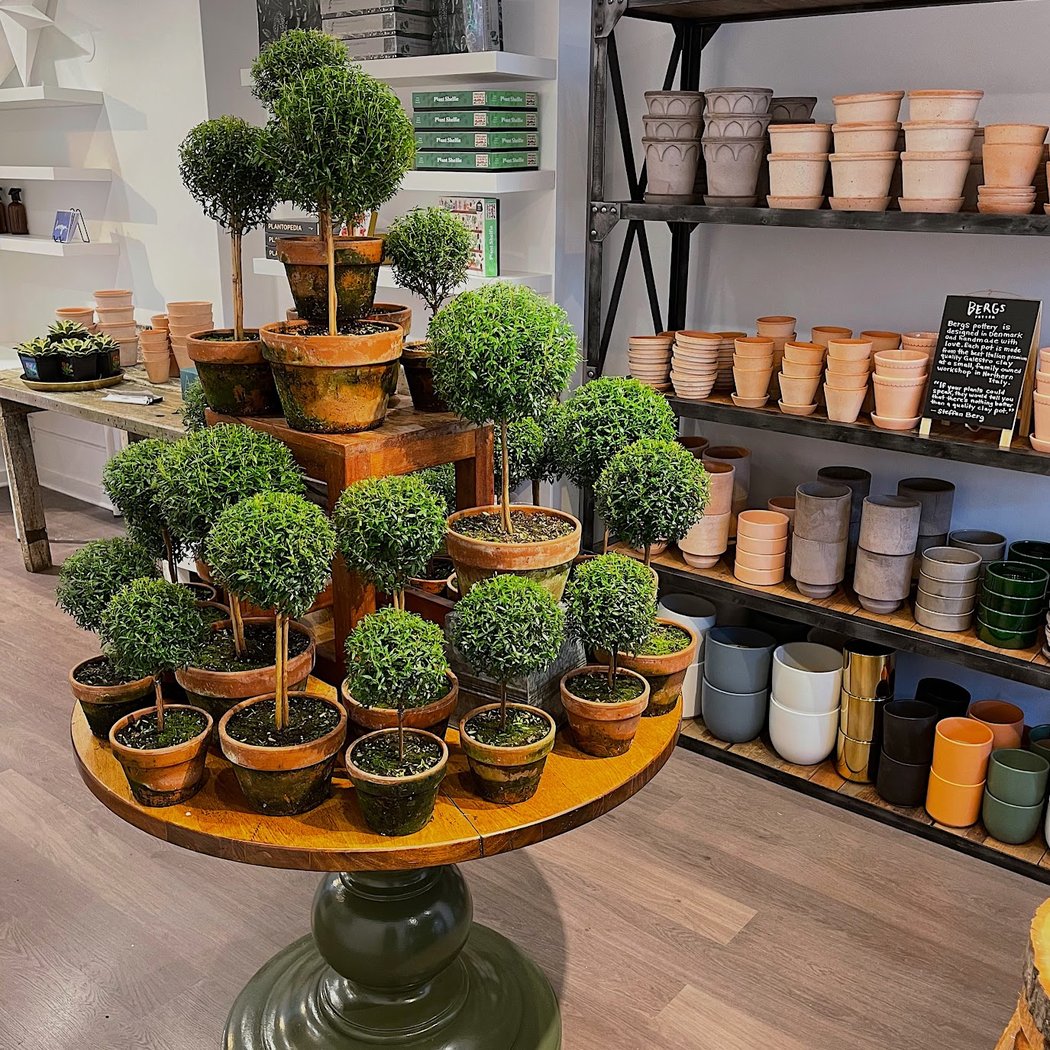 The Old Yew Plant Shop 1