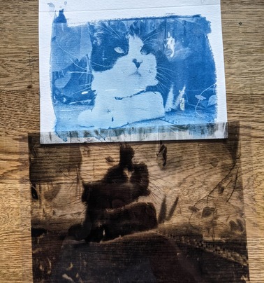 Cyanotype 2: Working with Digital Negatives 1