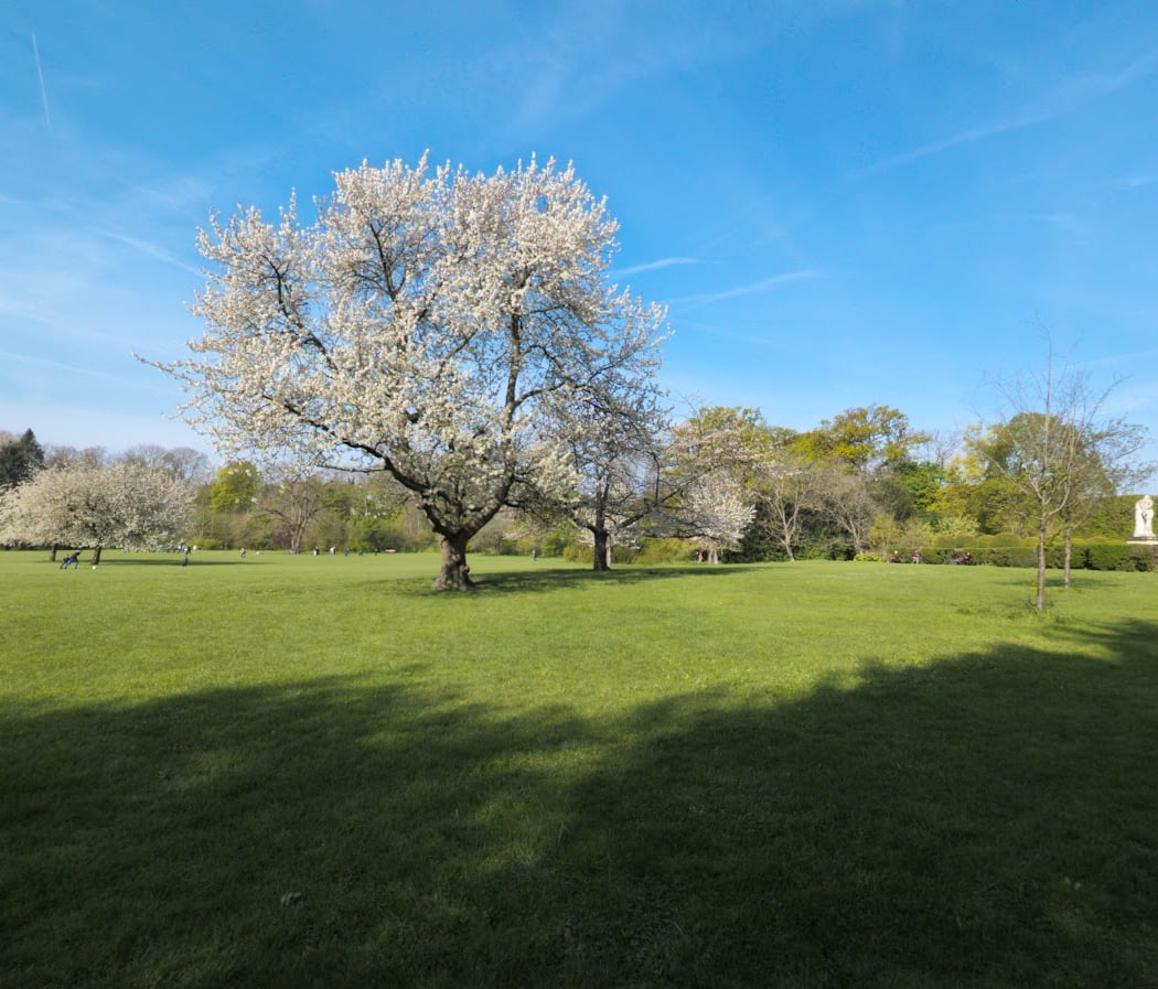 Plaine de l'Orangerie 1