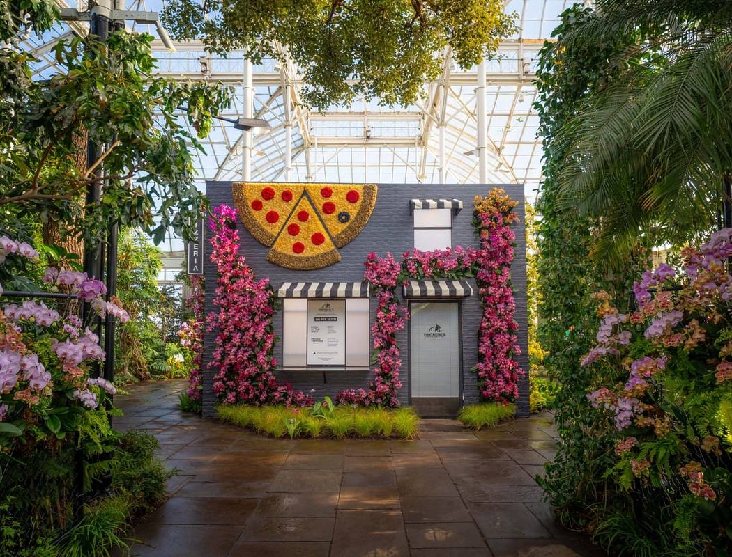 The Orchid Show 1