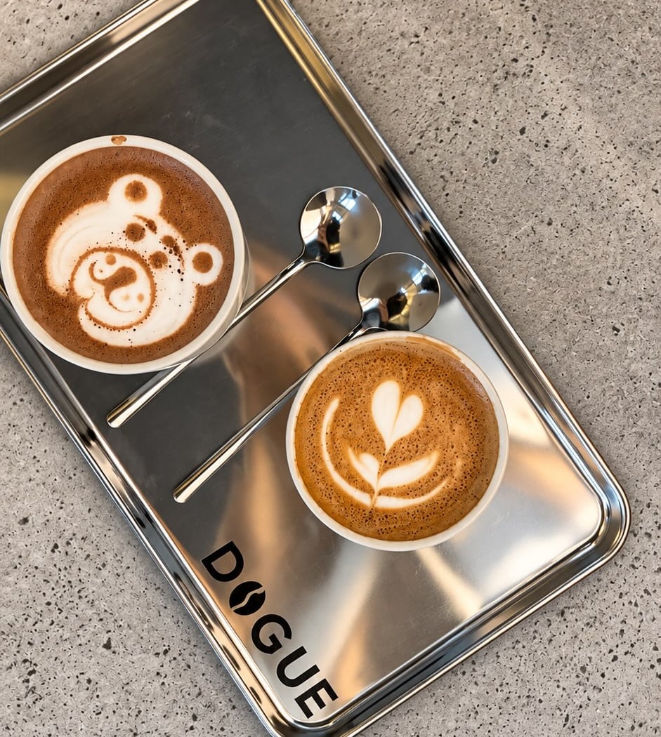 DOGUE Specialty Coffee Studio and Academy