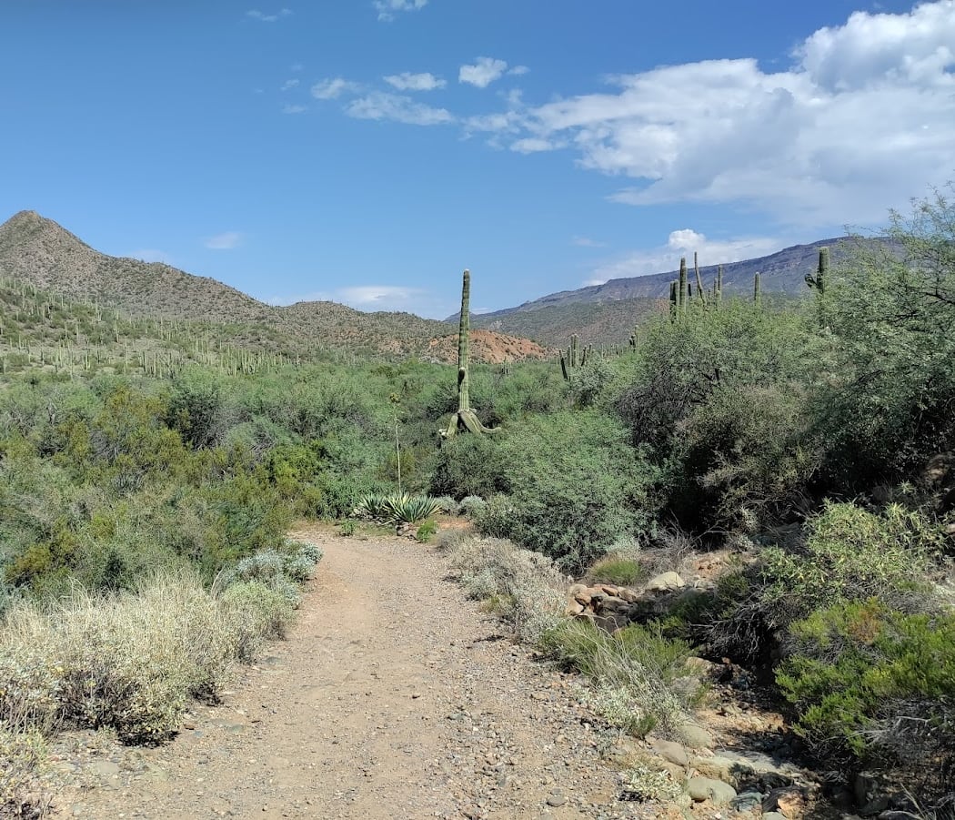 Spur Cross Ranch Conservation 2