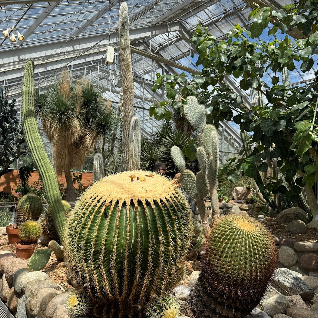 Environmental Toxidromes Part III: Bites and Envenomations 1