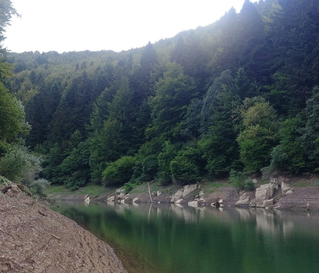 Embalse de Irabia 3
