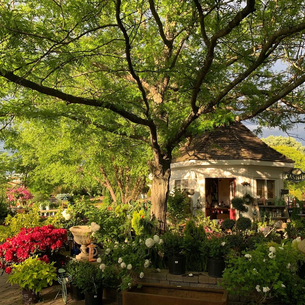 Winterberry Gardens 1