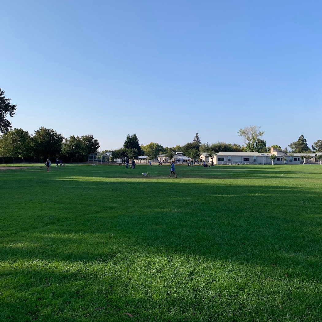 Stevenson School Field 3