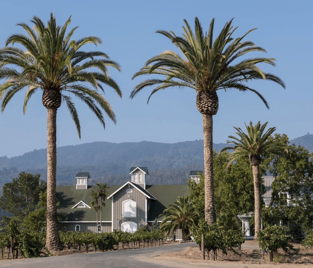 Corison Winery 2