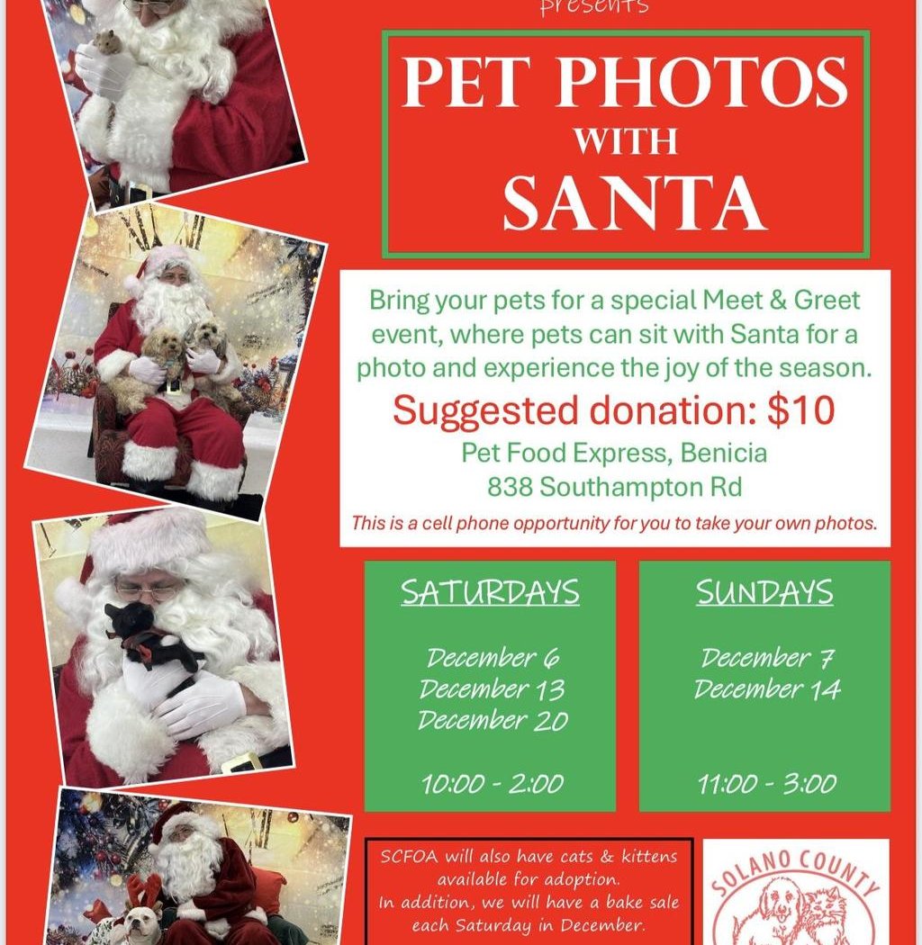 Pet Photos with Santa 1