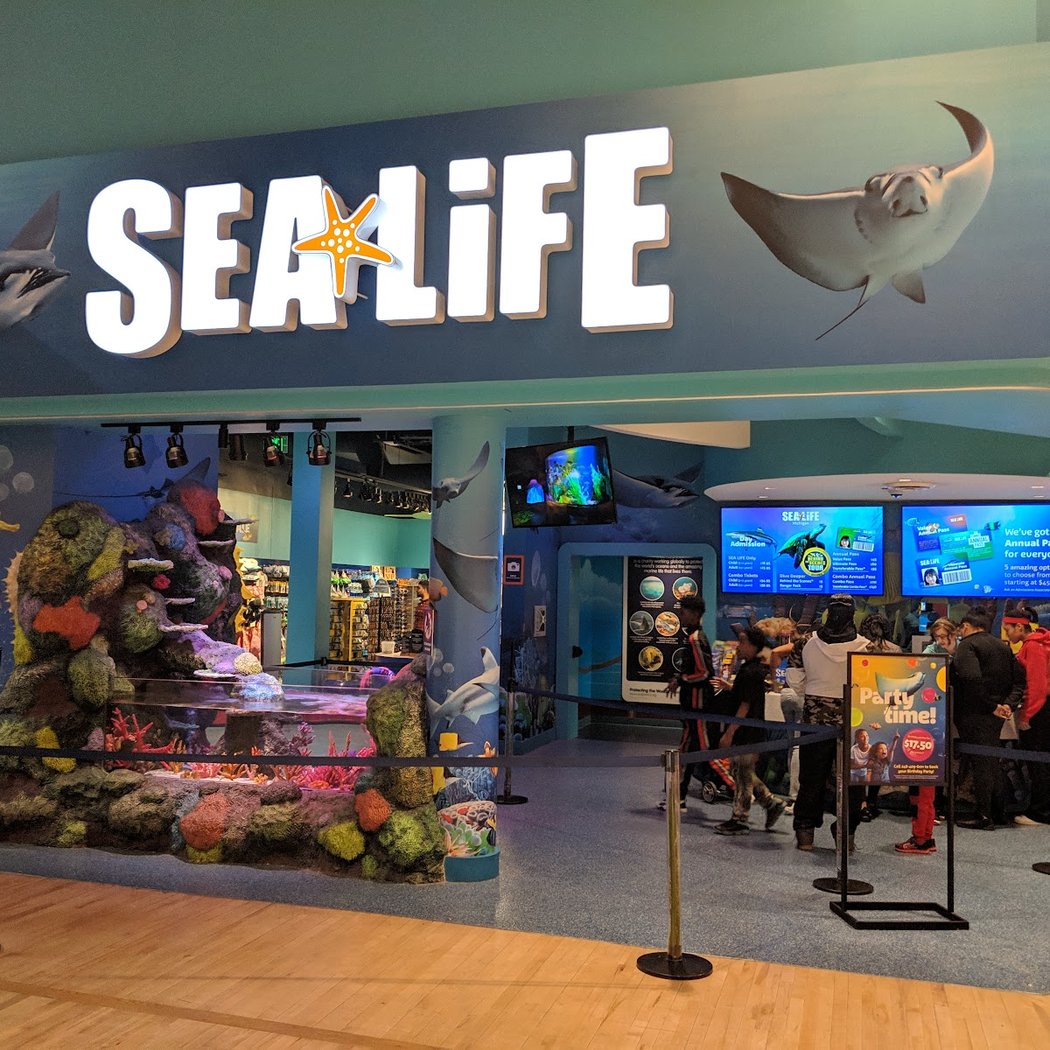 SEA LIFE Michigan Aquarium 3
