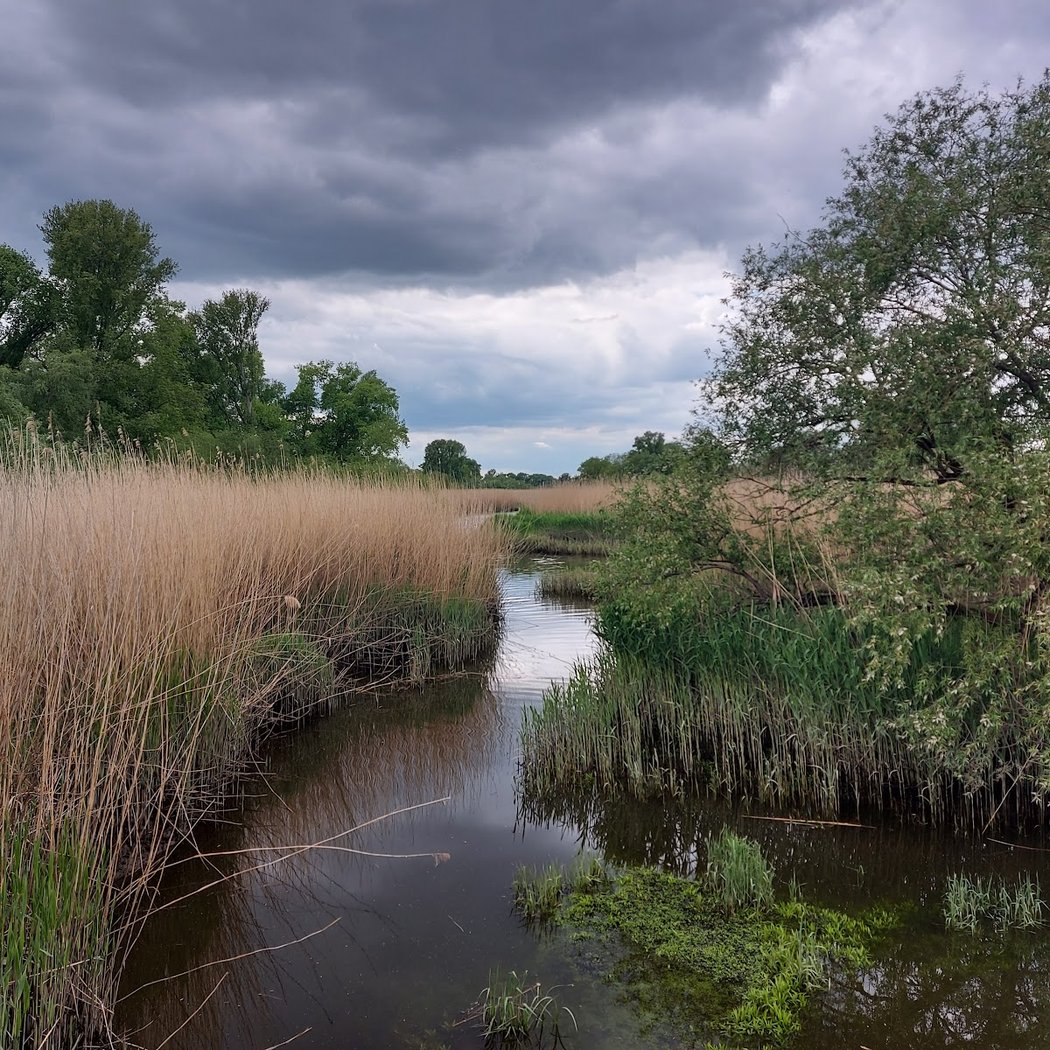 Wildes Wilhelmsburg 2