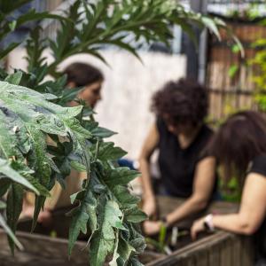 Ateliers de jardinage au Jardin21 3