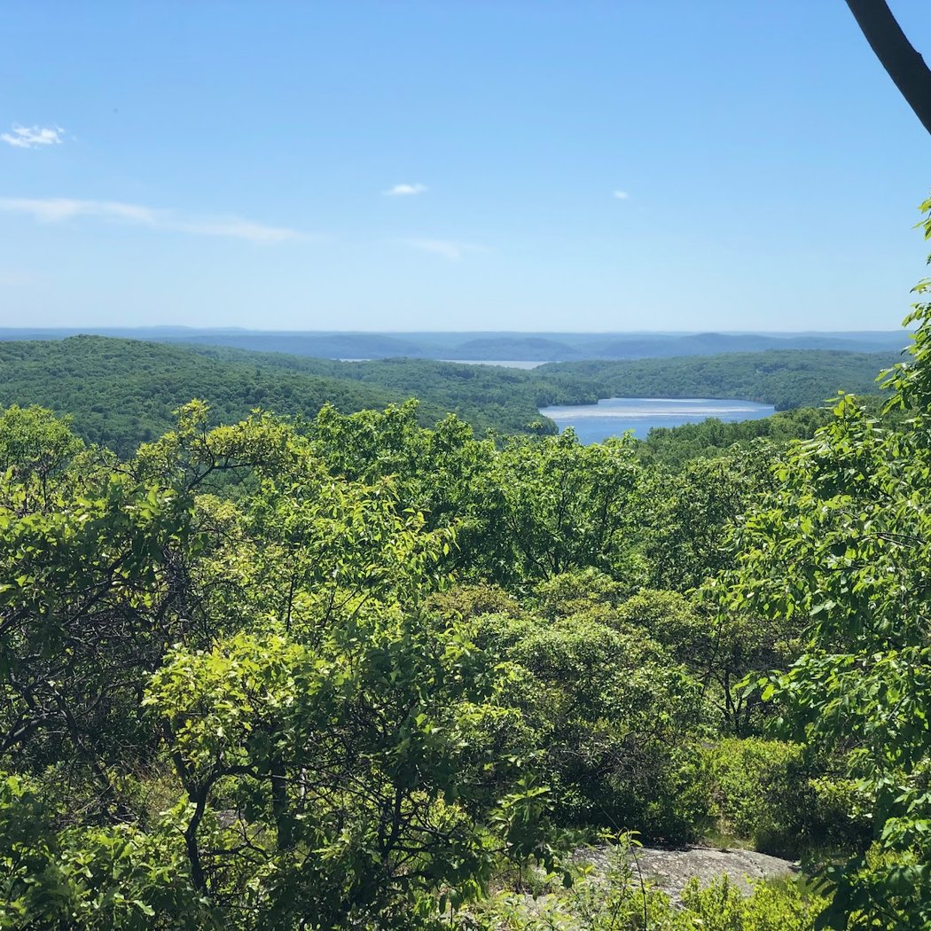 Turkey Mountain Nature Preserve 1