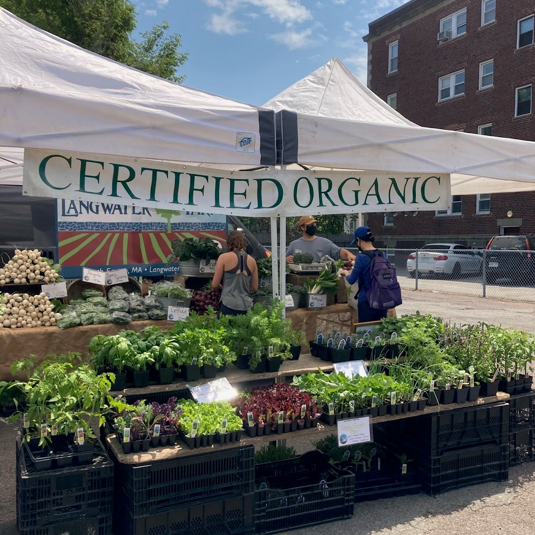 Davis Square Farmers Market 2