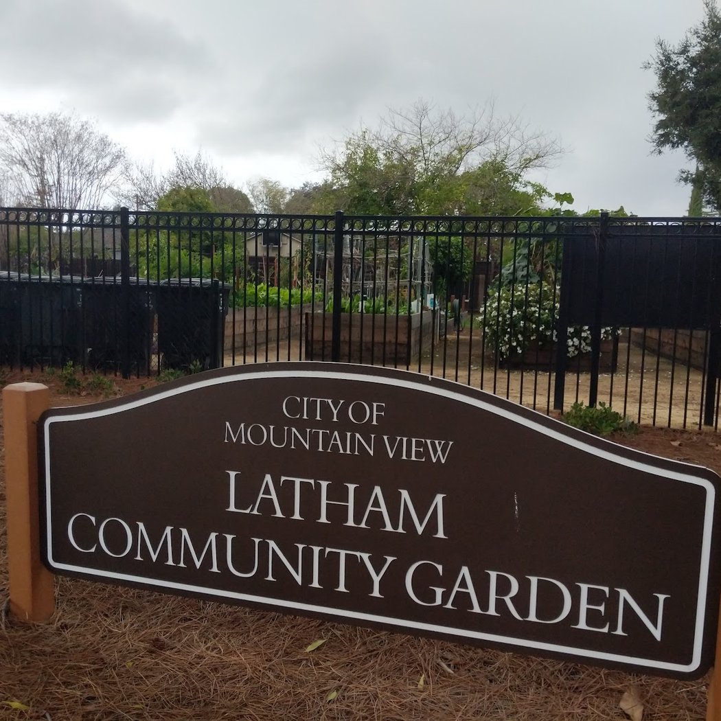 Latham Community Garden 3