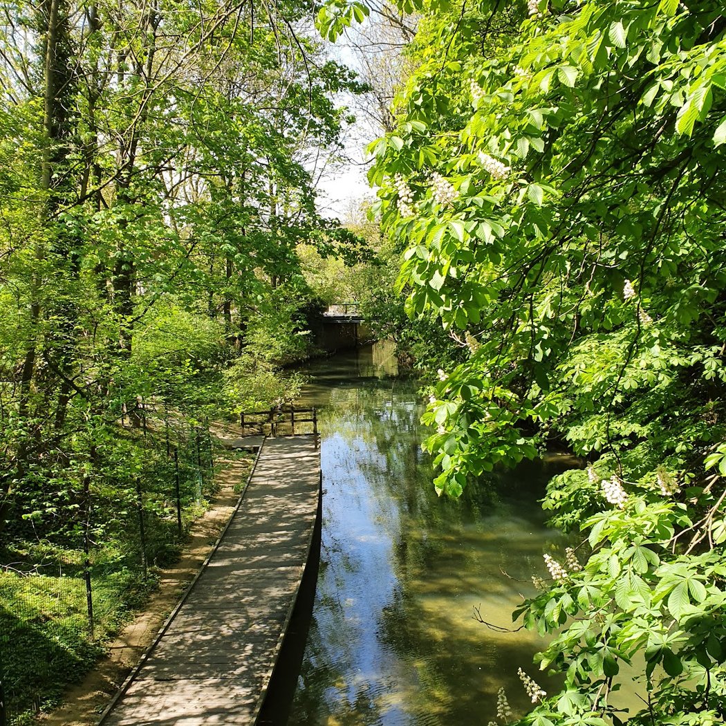 Île du Moulin Brûlé 1