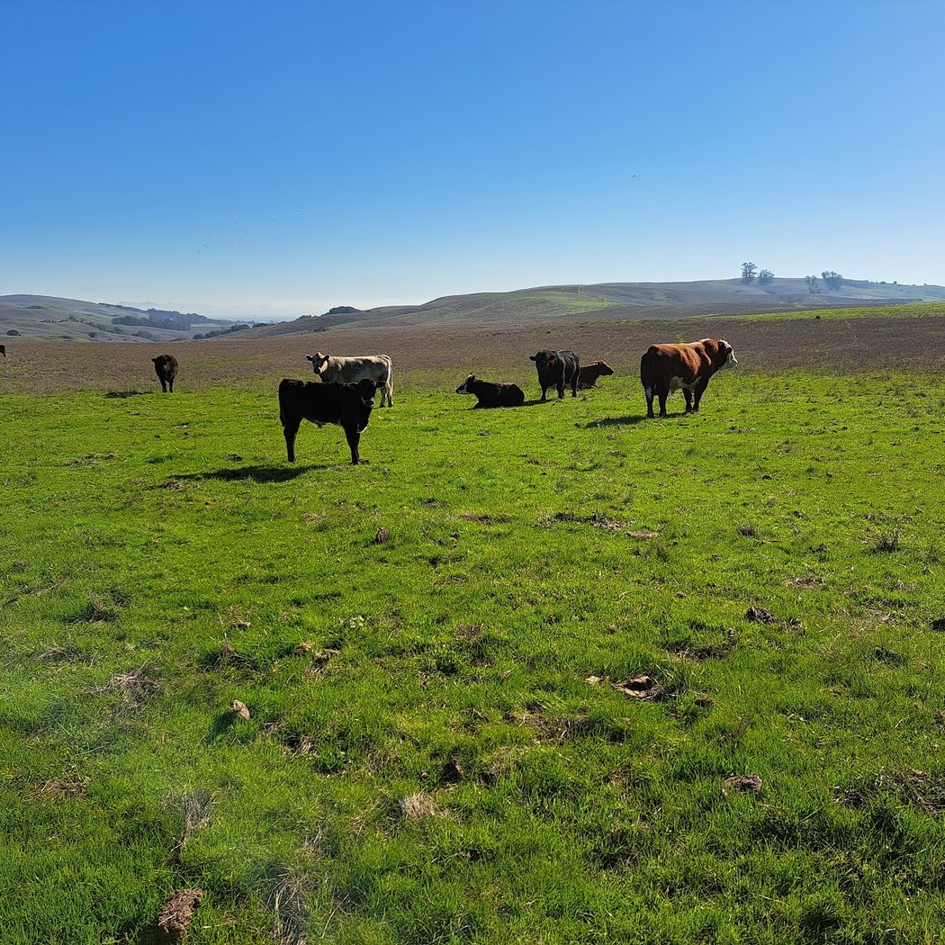 Tolay Lake Regional Park 3