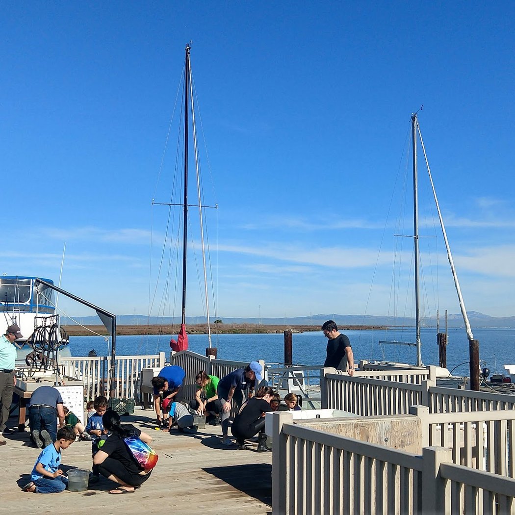 Marine Science Institute 2