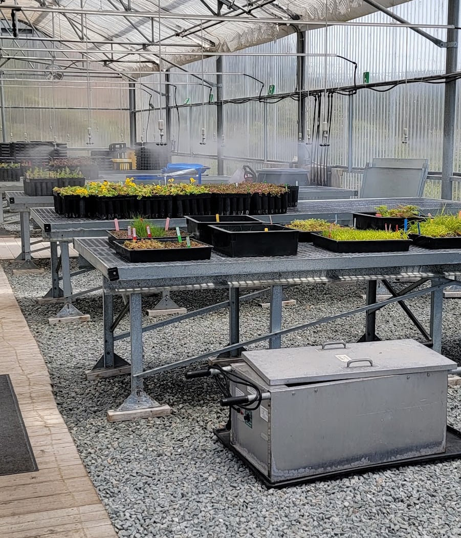 Marin Headlands Nursery Volunteer Event 2