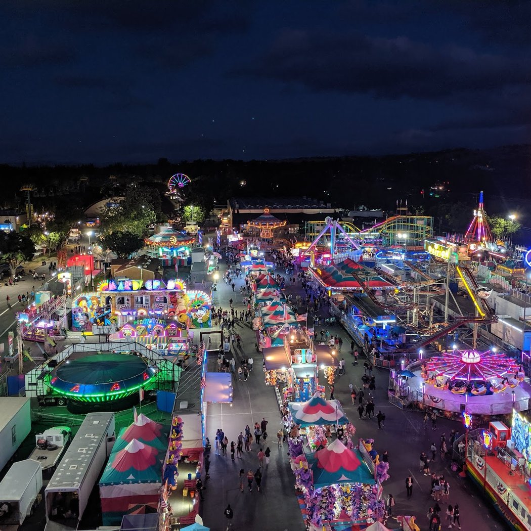 Fiesta at the Fair 3