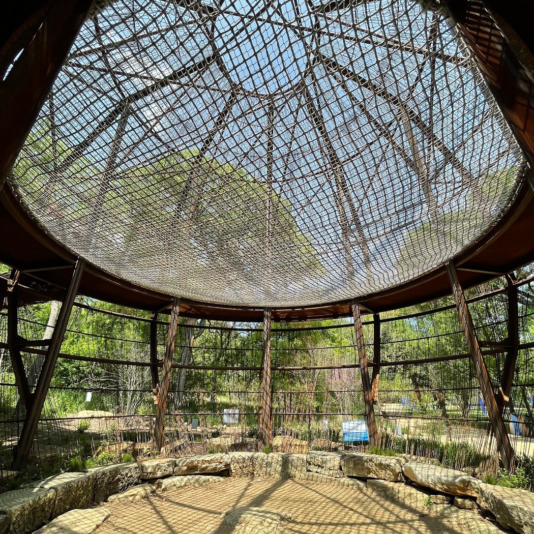 Pease Park Treehouse 3